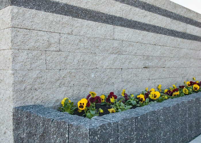 Palisada Łupana - obrazek 4