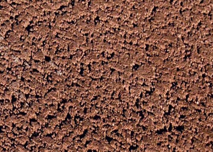 Palisada Nostalit - obrazek 5