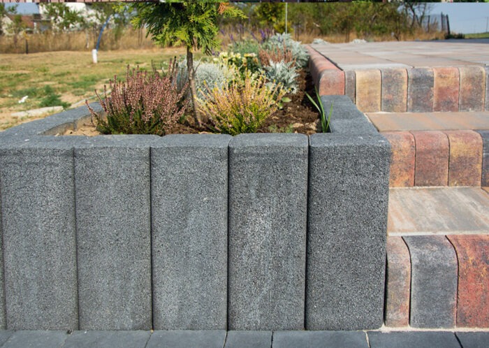 Palisada Nostalit - obrazek 2