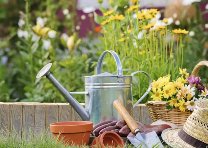 Palisada 40x25x4,5 - obrazek 2