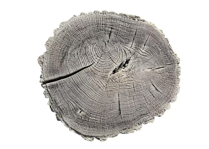 Pień Fi 38-45 - obrazek 5