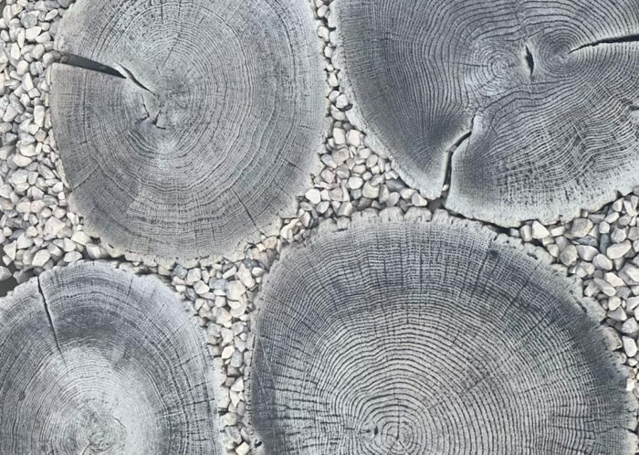 Pień Fi 38-45 - obrazek 3