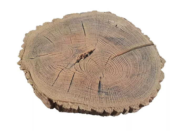 Pień Fi 38-45 - obrazek 4