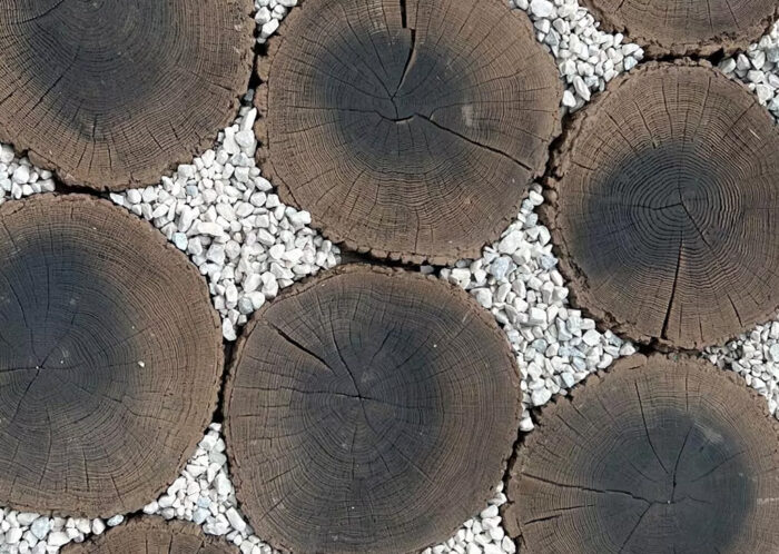 Pień Mini Fi 30-32 cm - obrazek 2