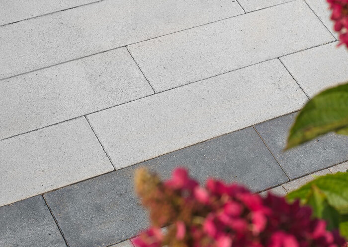 Kostka Oland - obrazek 2